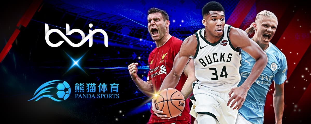 星后卫在风
